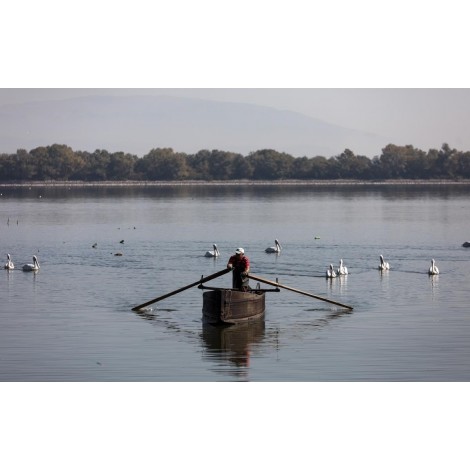 Εκδρομή Θεσσαλονίκη - Λίμνη Κερκίνης